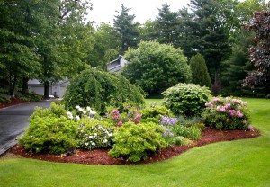 Главная страница сайта, рбрика ландшафтный дизайн