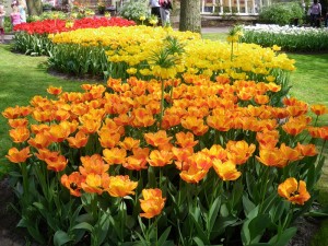 Главная страница сайта, рубрика цветоводство